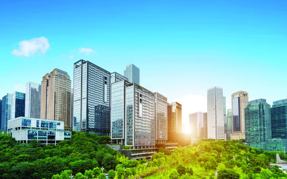 Tư vấn thiết kế & quản lý dự án